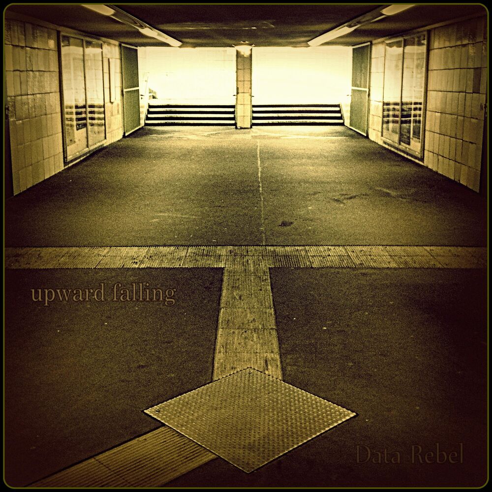 Picture of Upward Falling