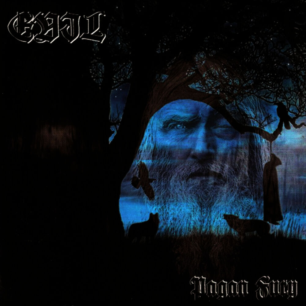 Picture of Pagan Fury