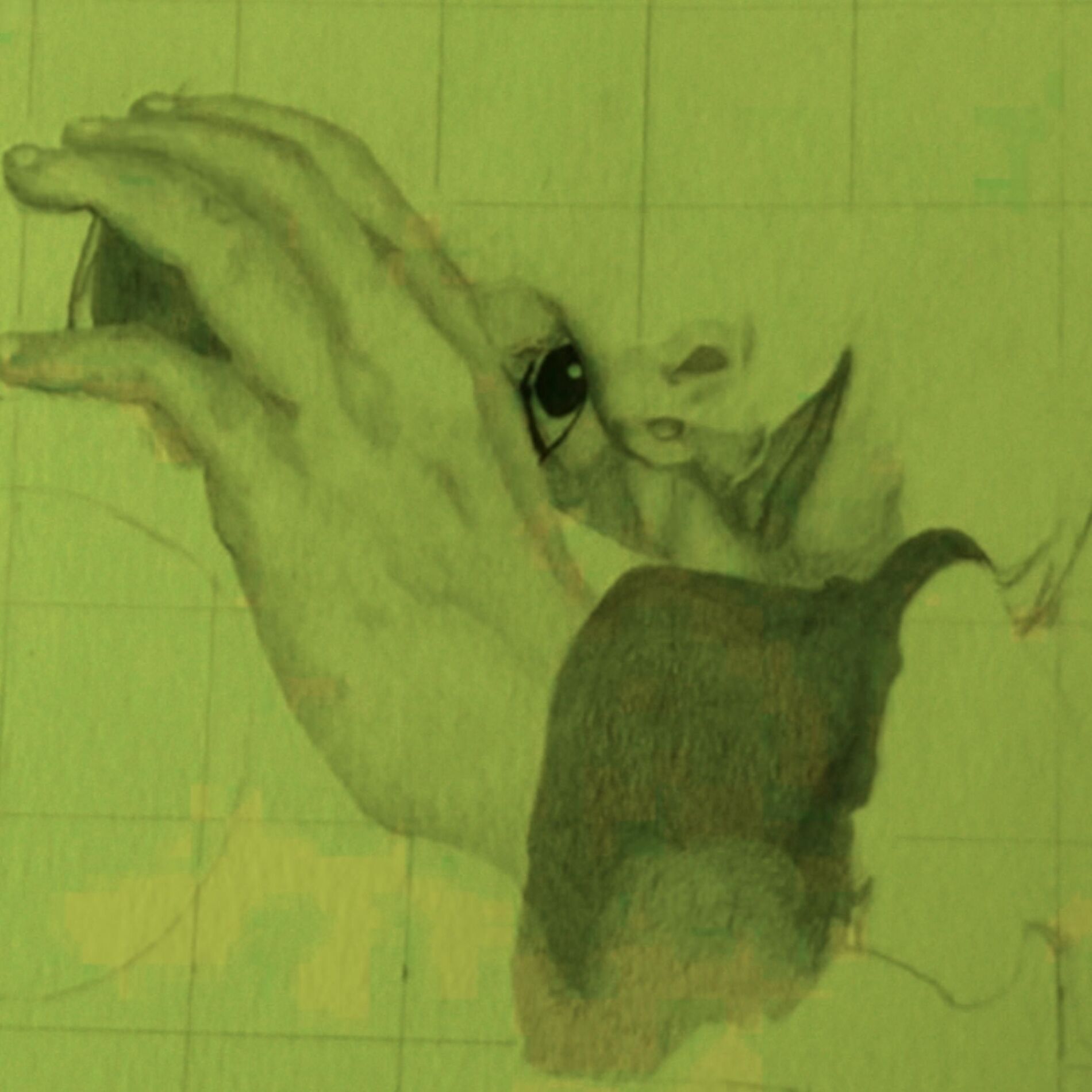 Album cover of annie