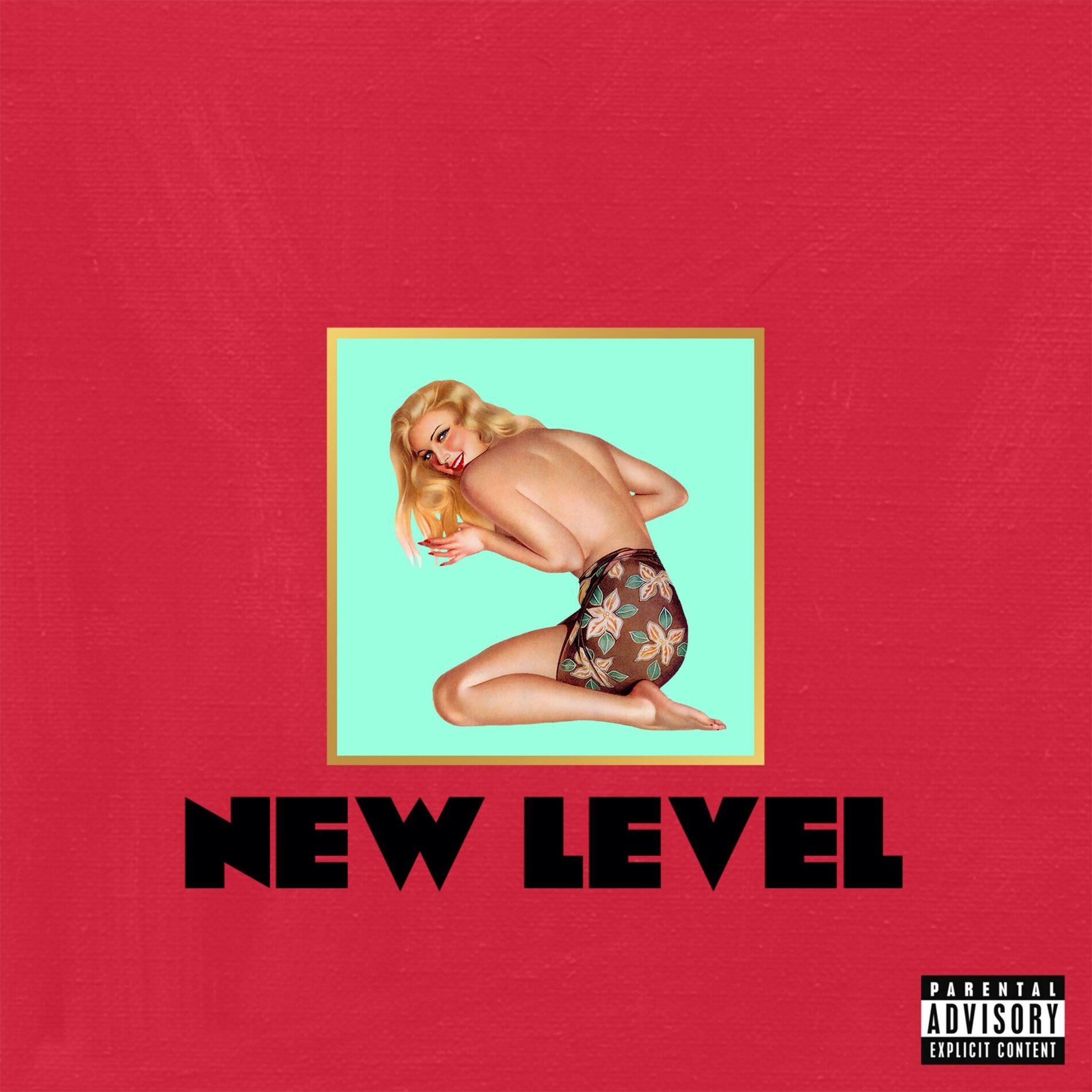 Album cover of New Level