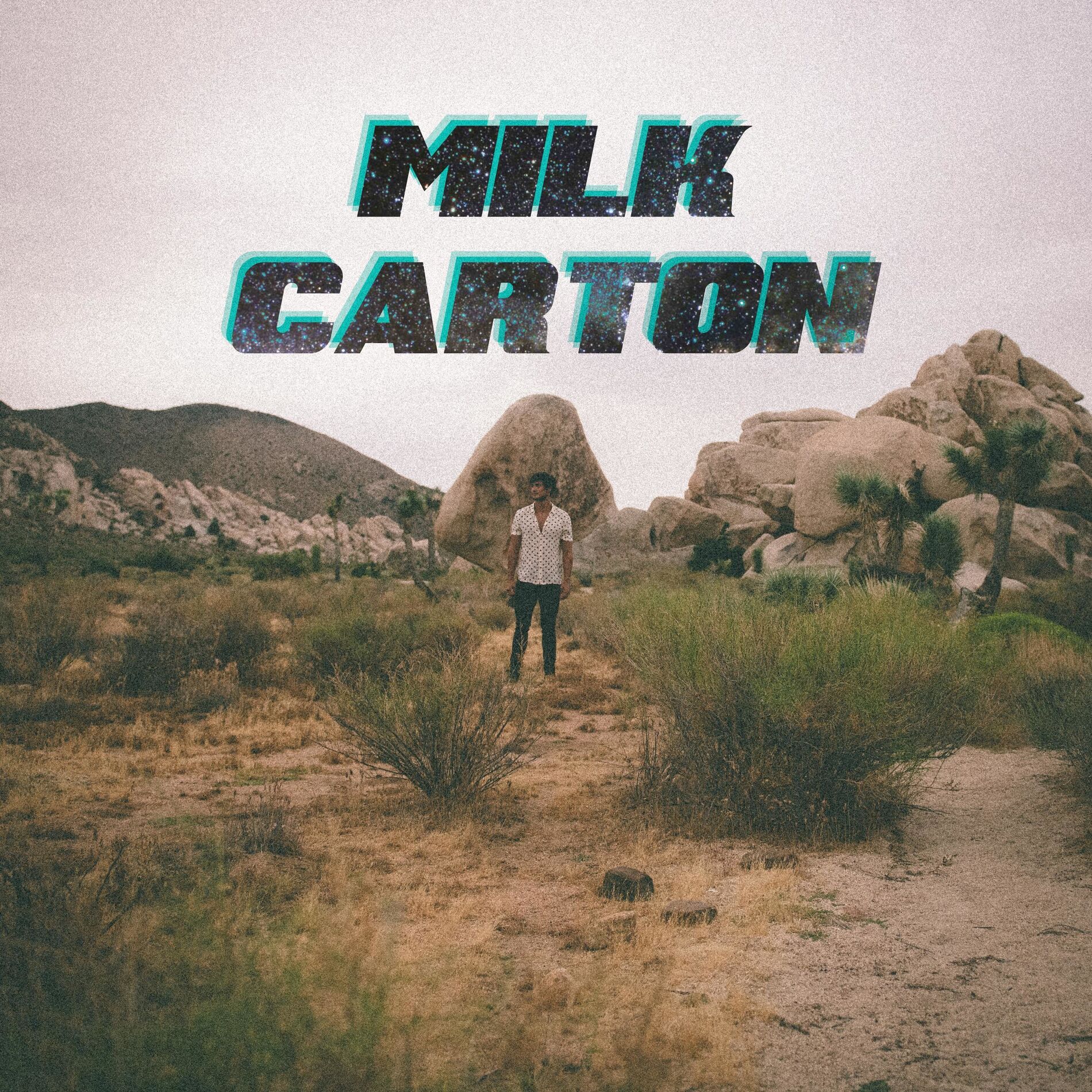 Album cover of Milk Carton