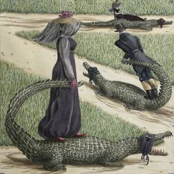 Cover of Jacaré no Pano