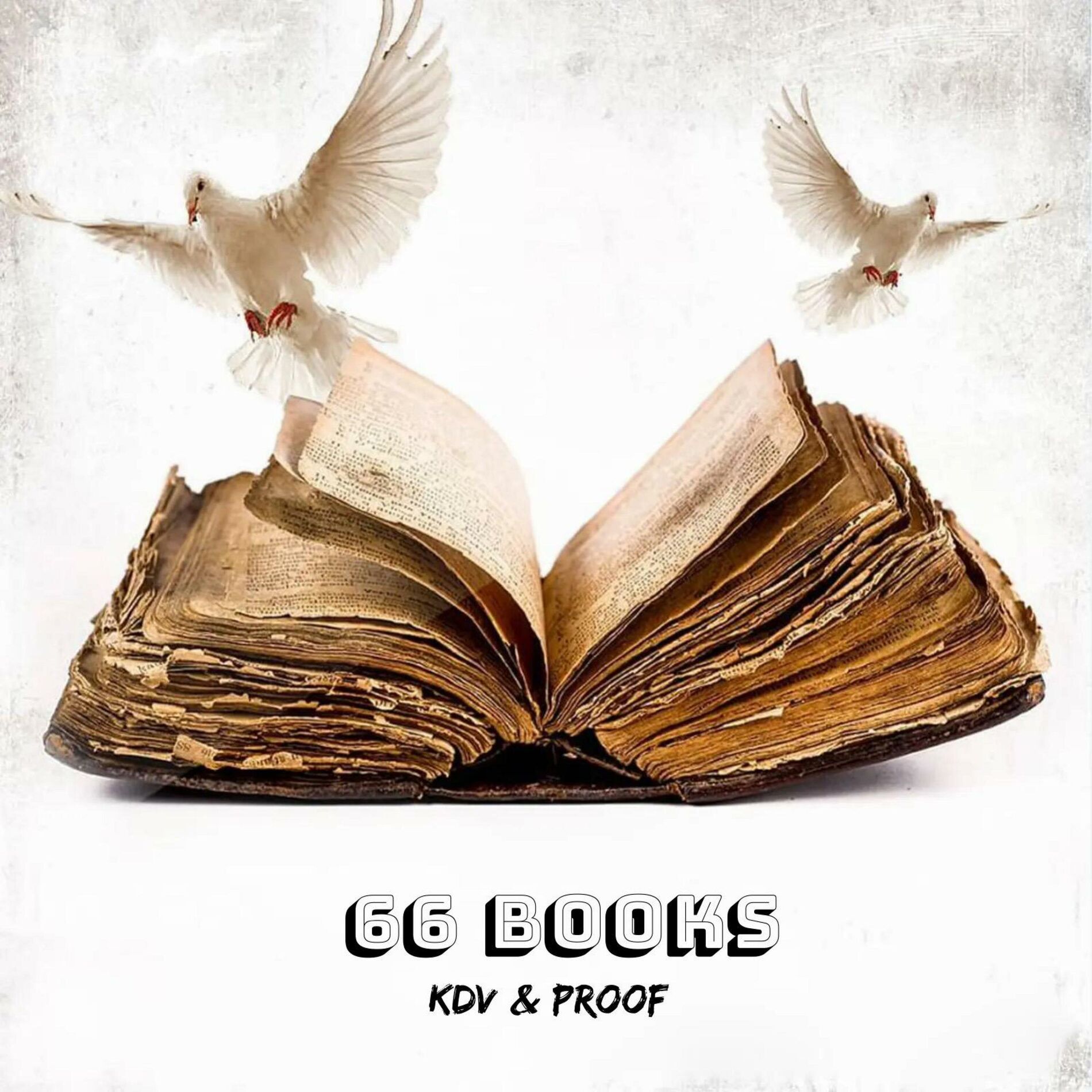 Album cover of 66 Books (feat. Proof)