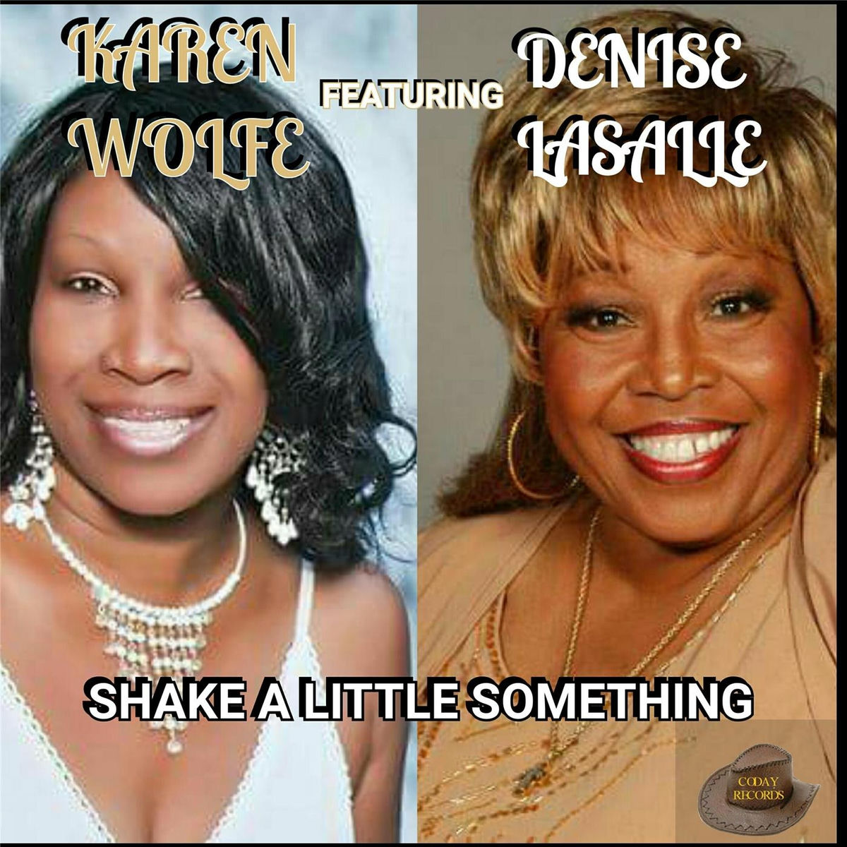 Album cover of Shake a Little Something