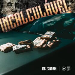 Cover of Incalculável