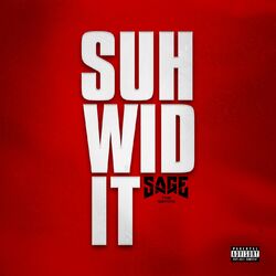 Cover of Suh Wid It
