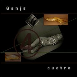 Cover of Cuatro