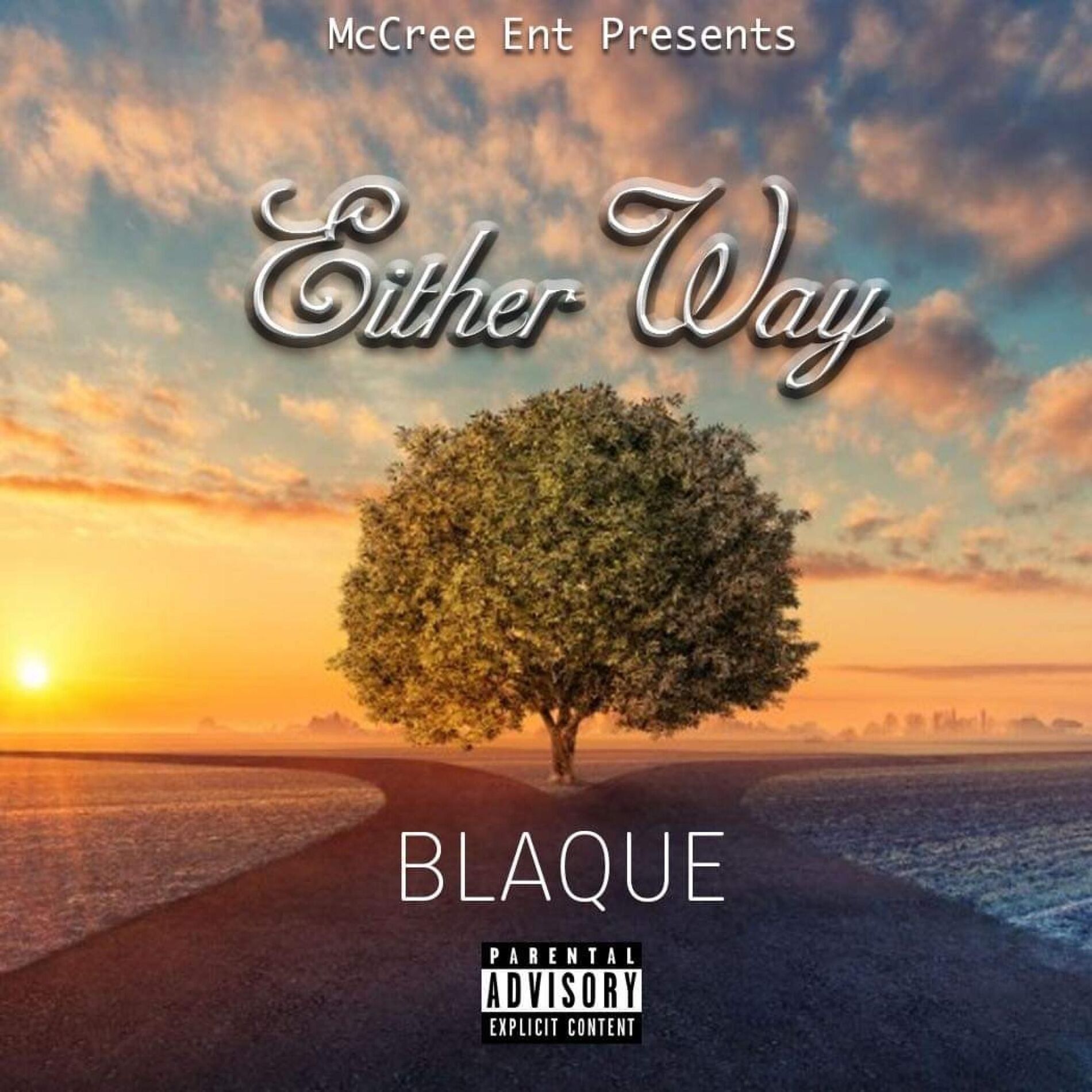 Album cover of Either Way