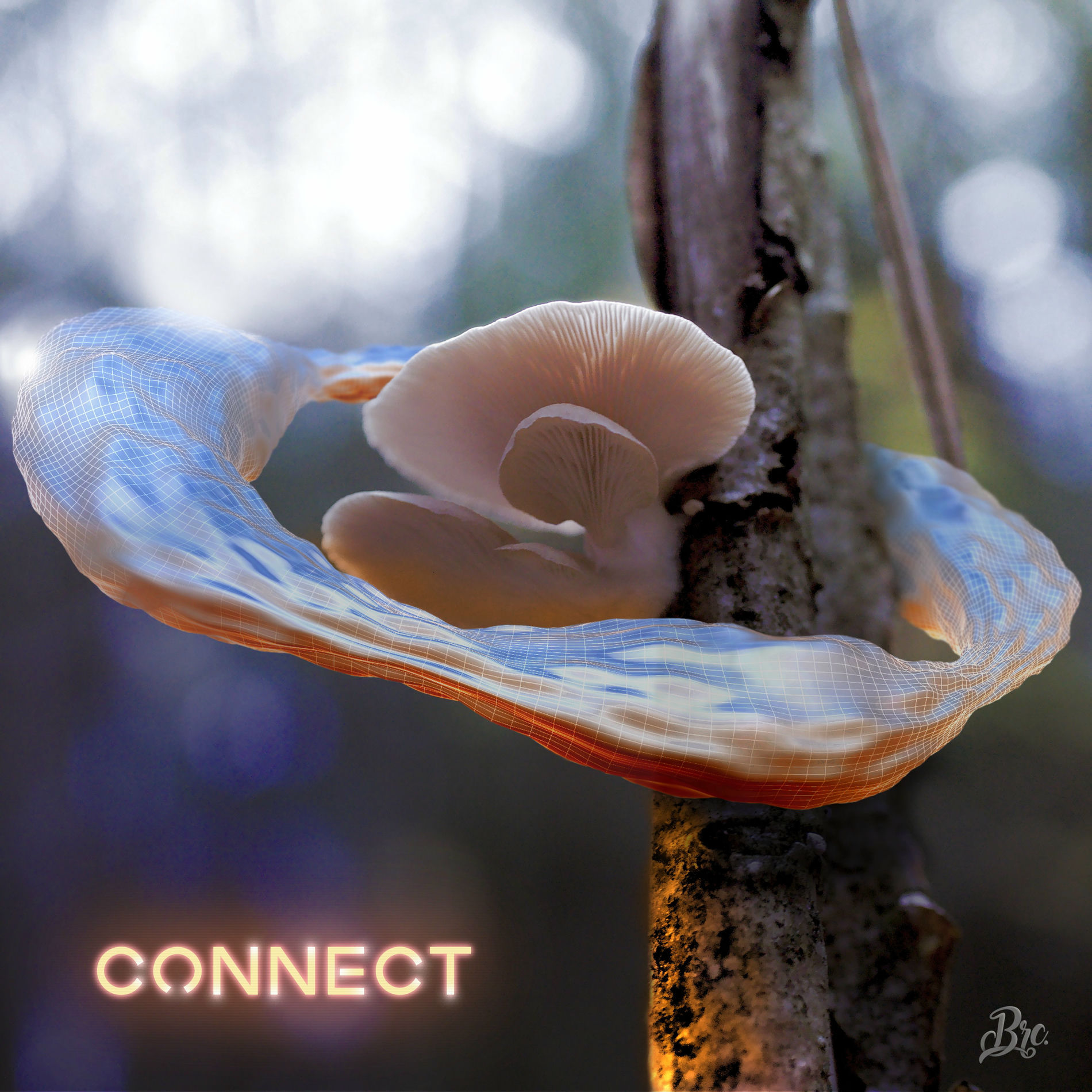 Album cover of Connect