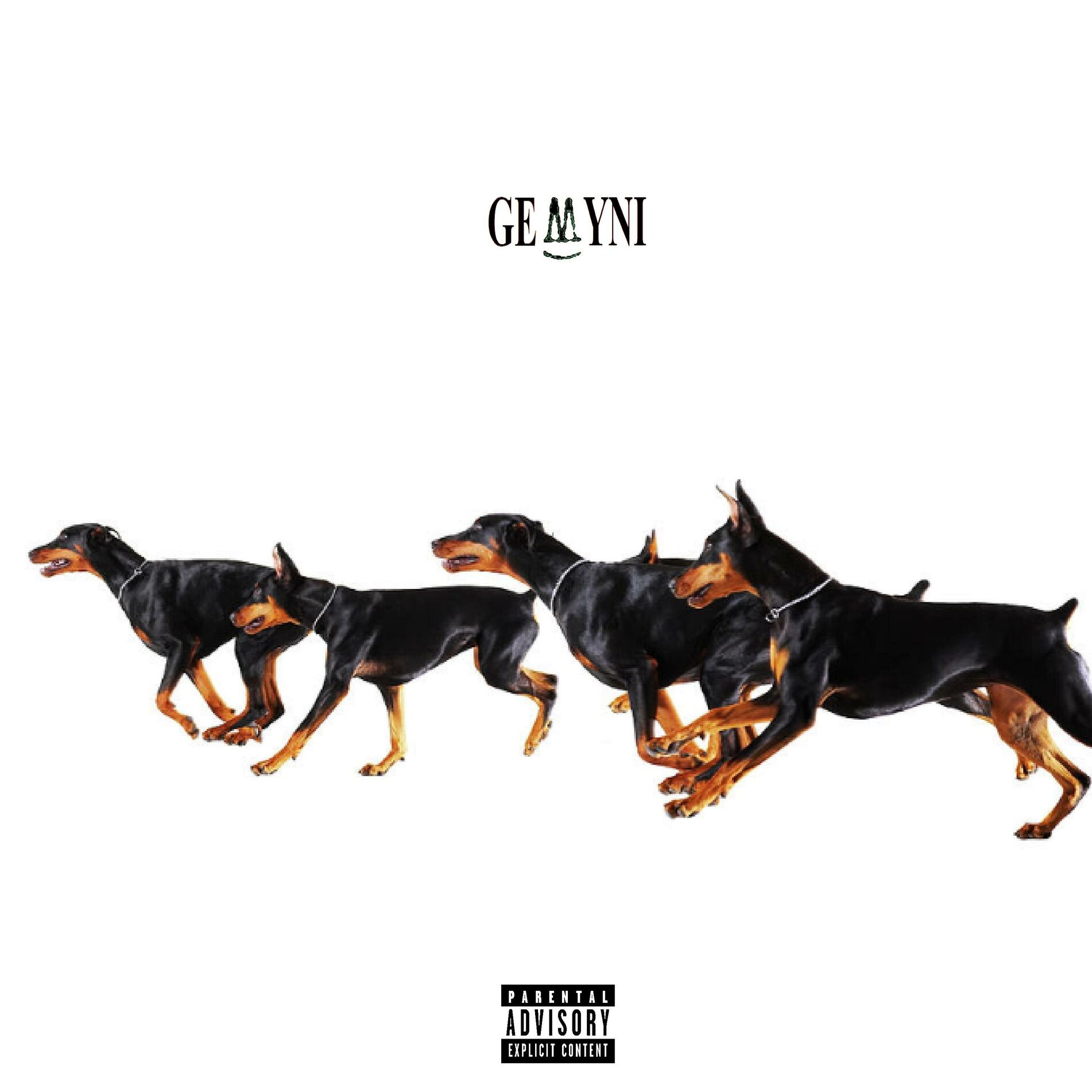 Album cover of GEMYNI