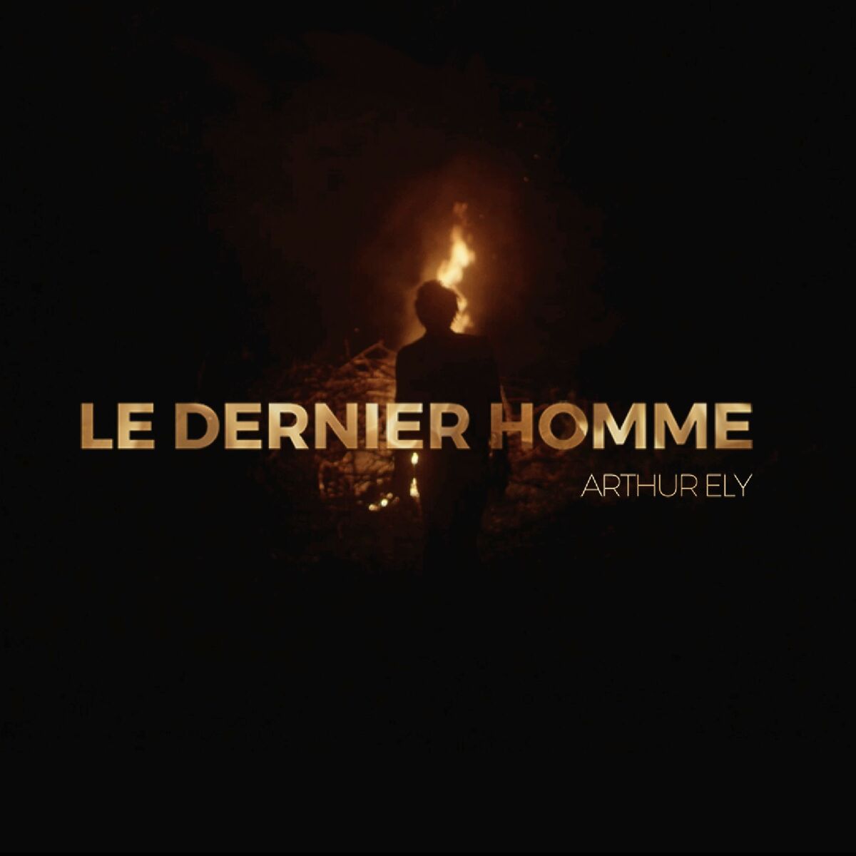 Album cover of Le Dernier Homme