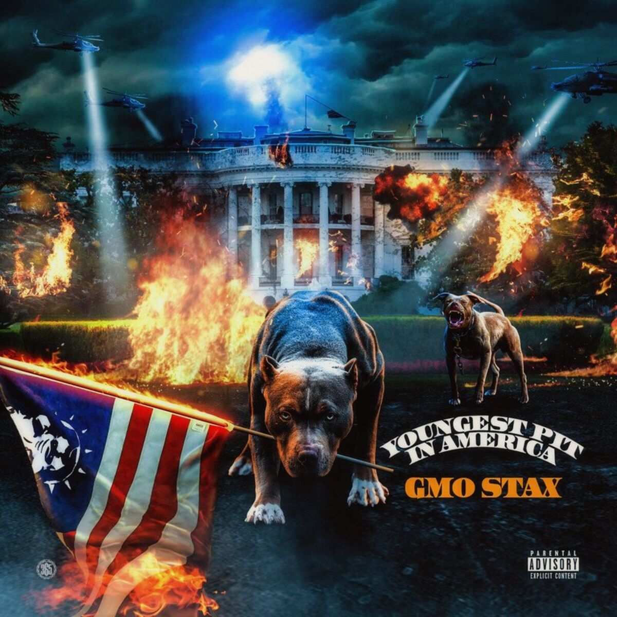 Album cover of Youngest Pit In America