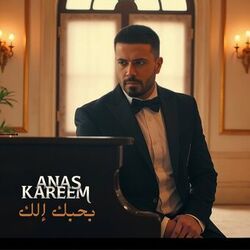 Cover of Bhebik Elik