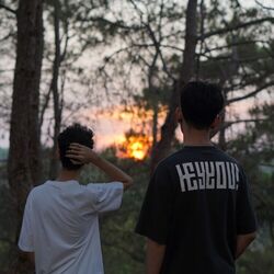 Cover of Confused