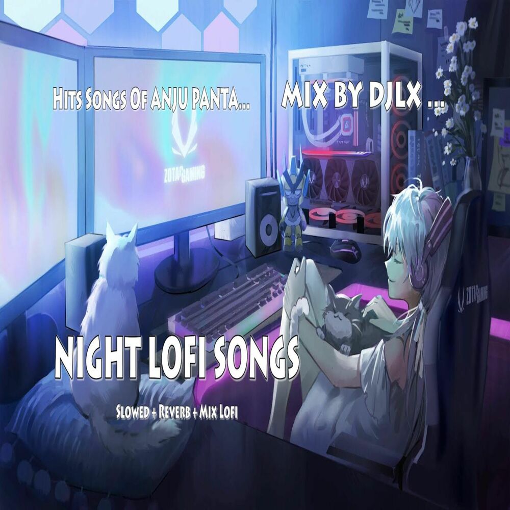 Picture of Night LOFi songs