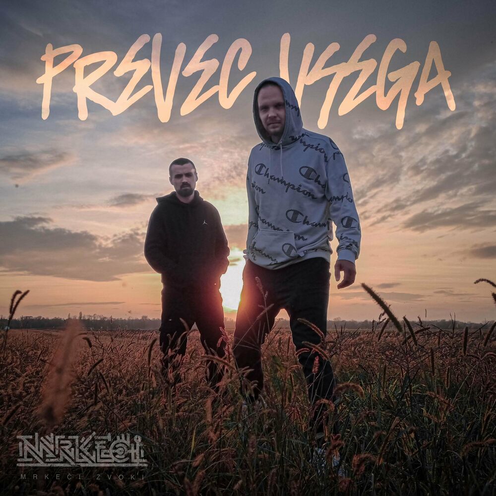Picture of Preveč vsega