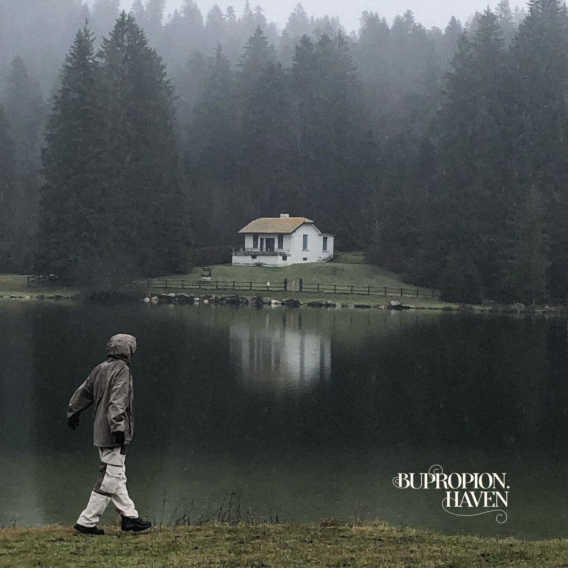 Album cover of les gens normaux