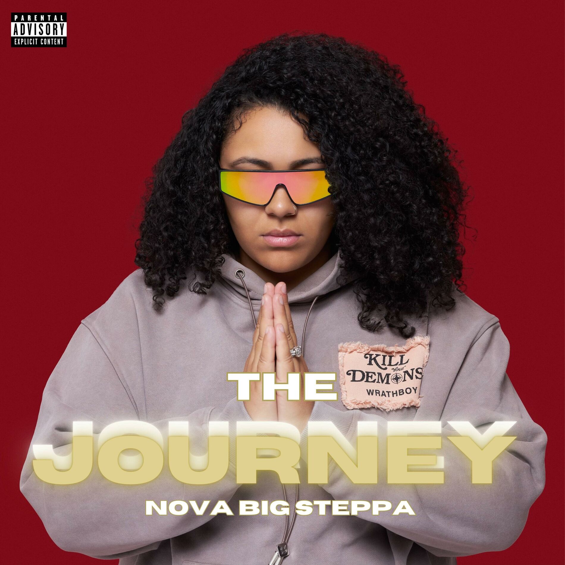 Album cover of The Journey