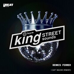 Cover of I Can't Imagine (Remixes)