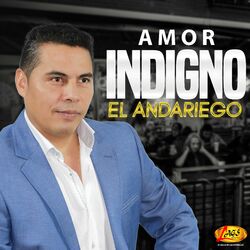 Cover of Amor Indigno