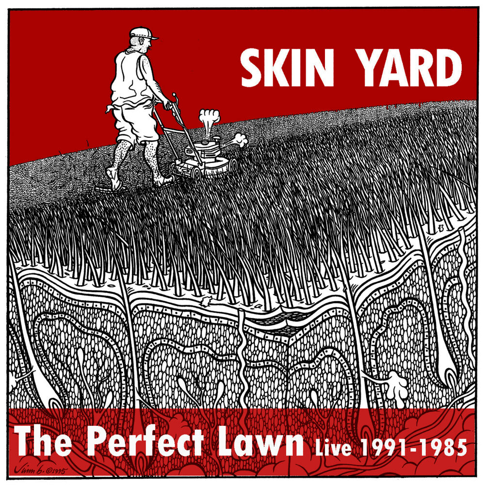 Picture of The Perfect Lawn (Live 1991 - 1985)