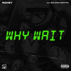 Cover of Why Wait