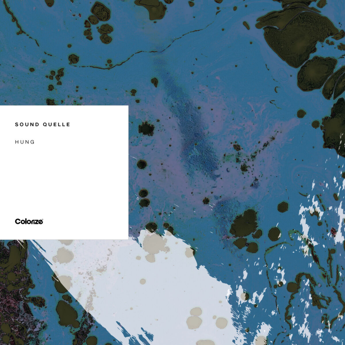 Album cover of Hung