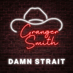 Cover of Damn Strait