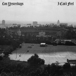 Cover of I Can't Feel