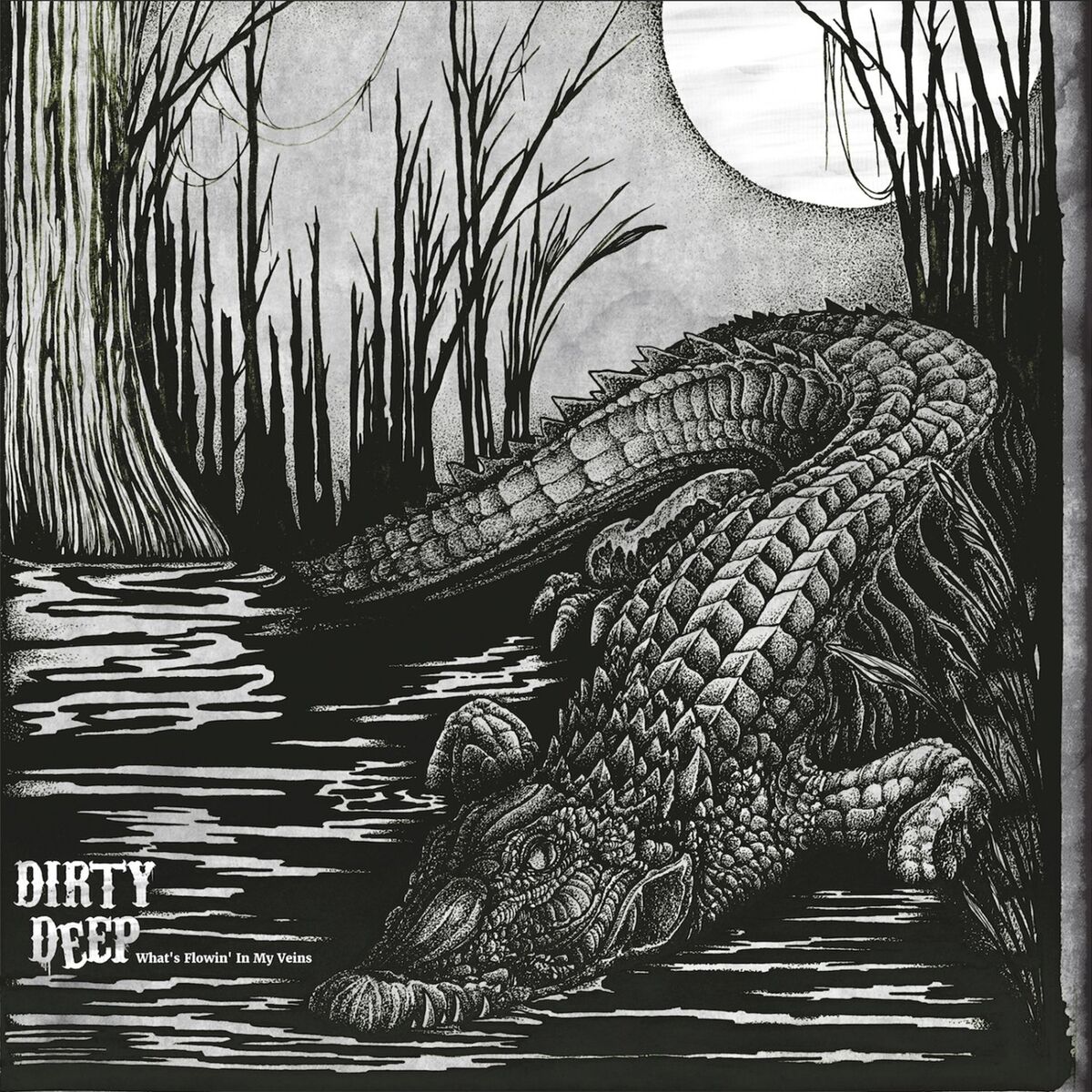 Album cover of Holy Pocket Boogie