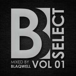 Cover of Brobot Select: Vol. 1 (Mixed By Blaqwell)