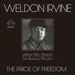 Cover of The Price of Freedom