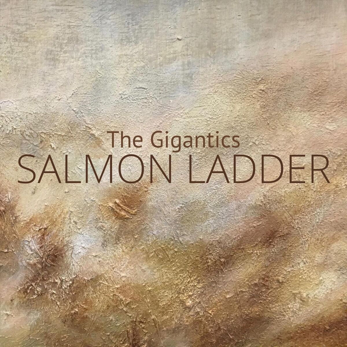 Album cover of Salmon Ladder