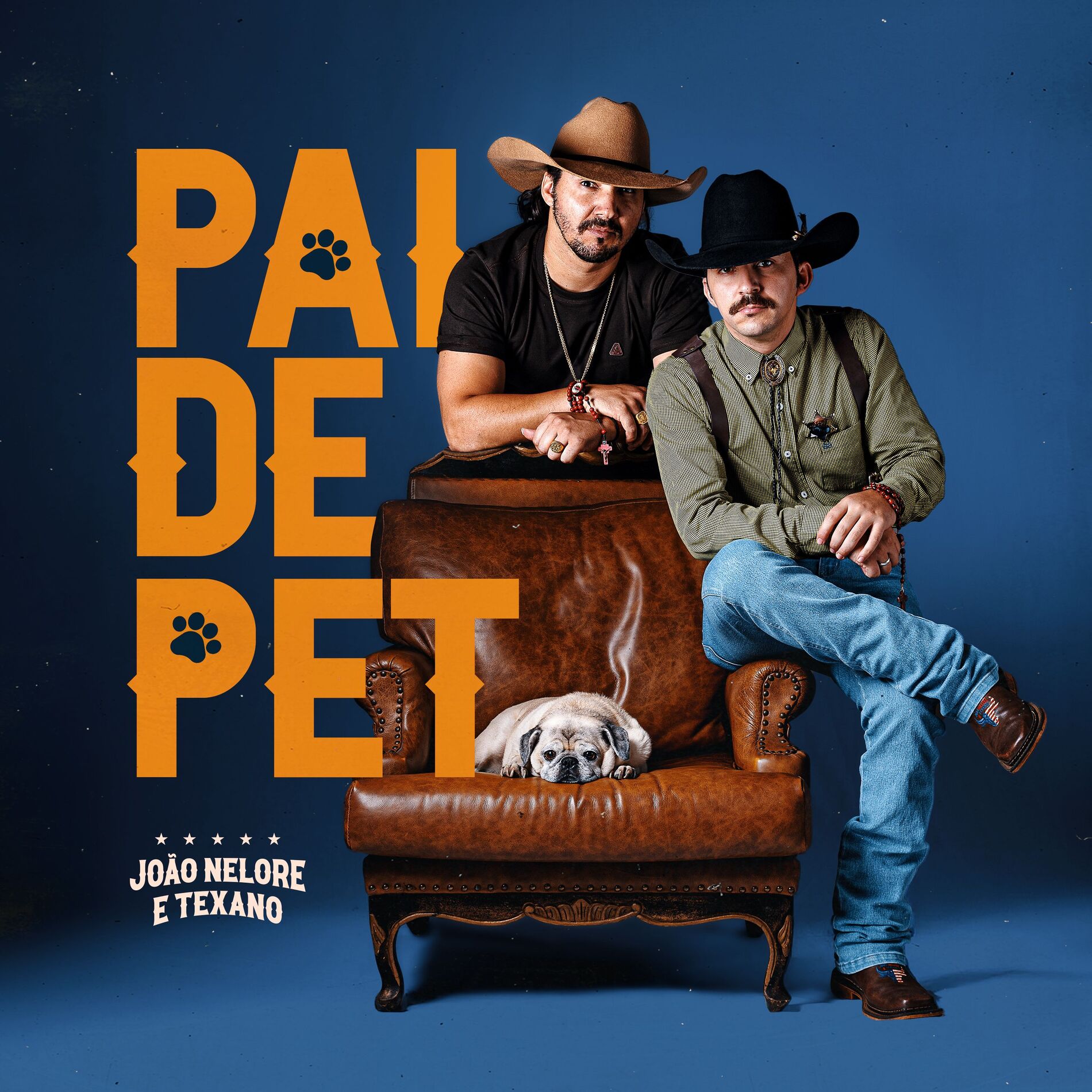 Album cover of Pai de Pet