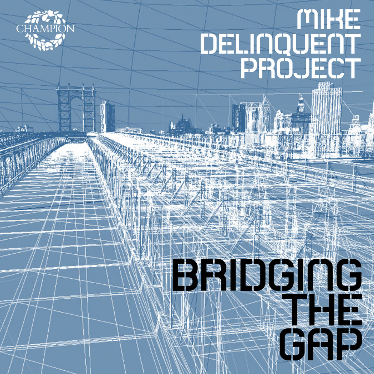 Album cover of Bridging The Gap