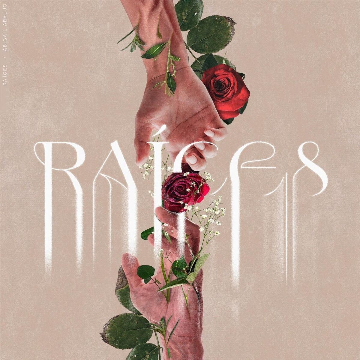 Album cover of Raíces