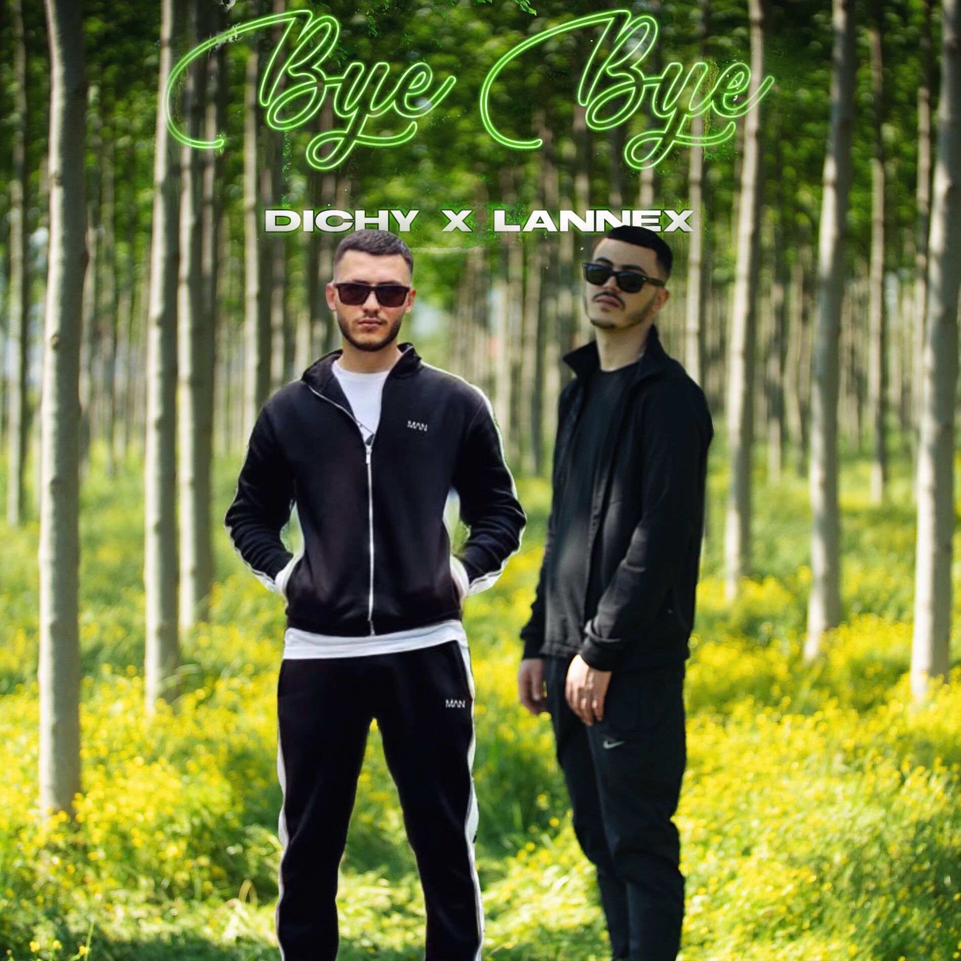 Album cover of Bye Bye
