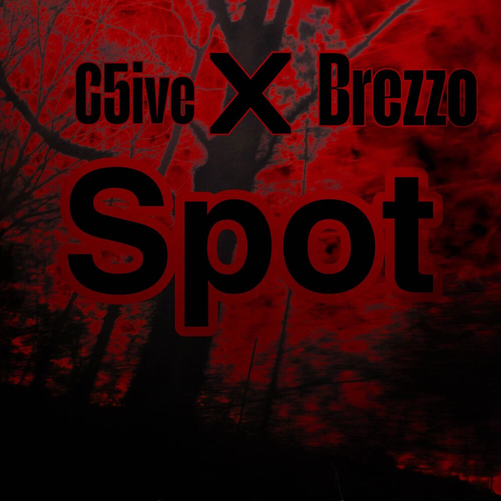 Picture of Spot (feat. Brezzo)