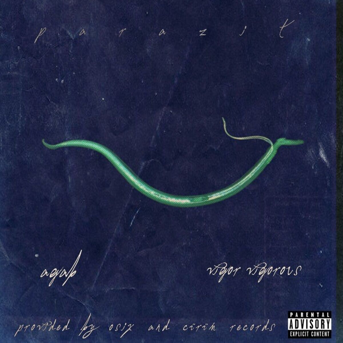 Album cover of PARAZİT