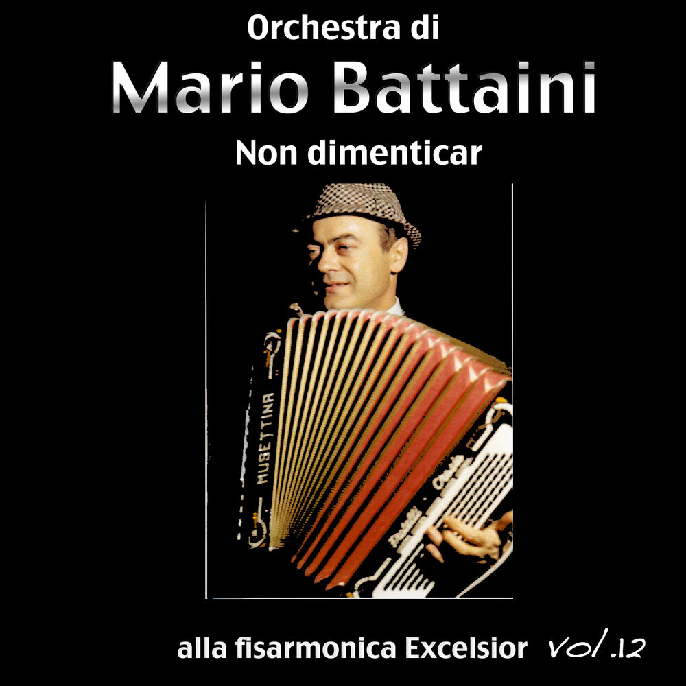Picture of I Successi Della Musica Da Ballo Vol.12
