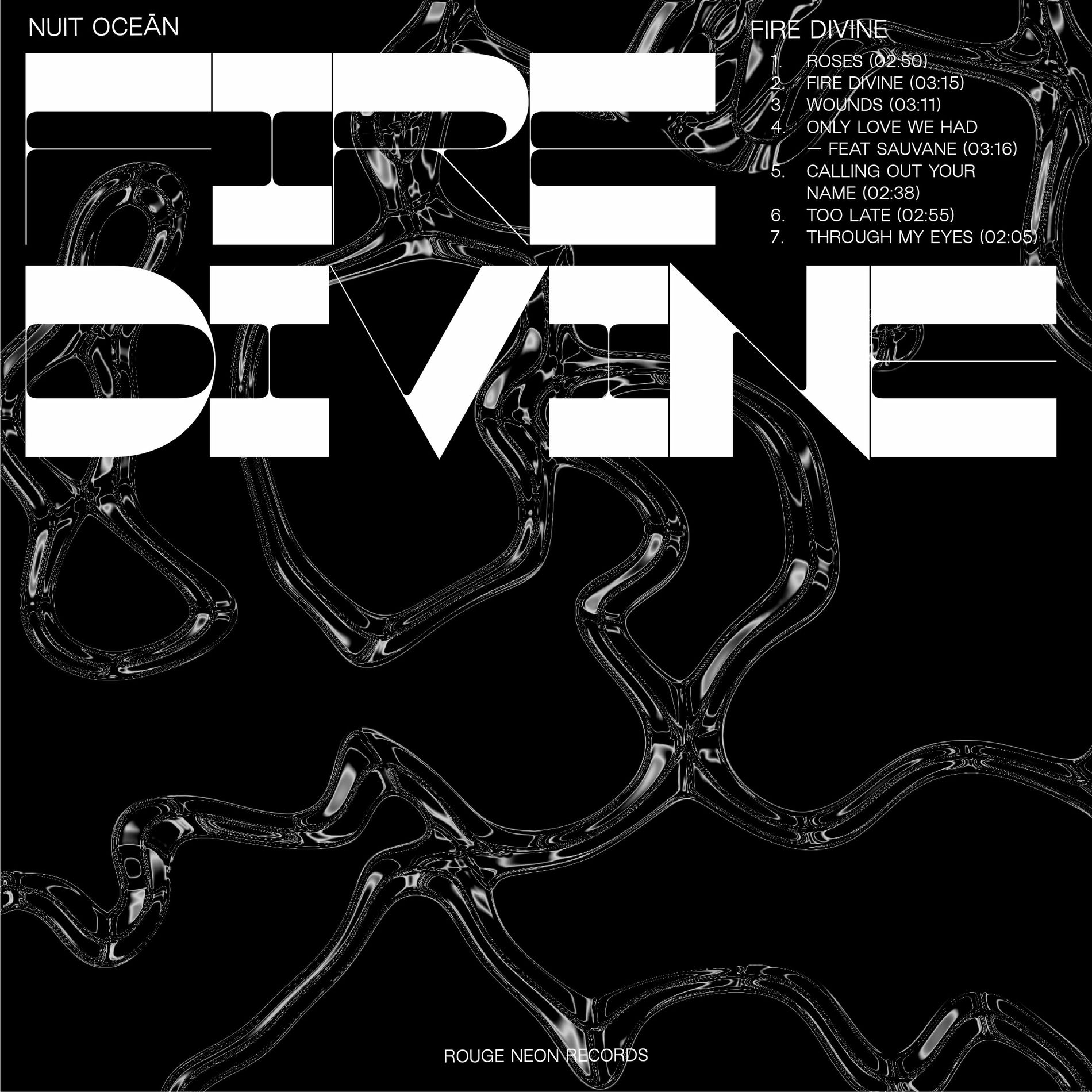 Album cover of FIRE DIVINE