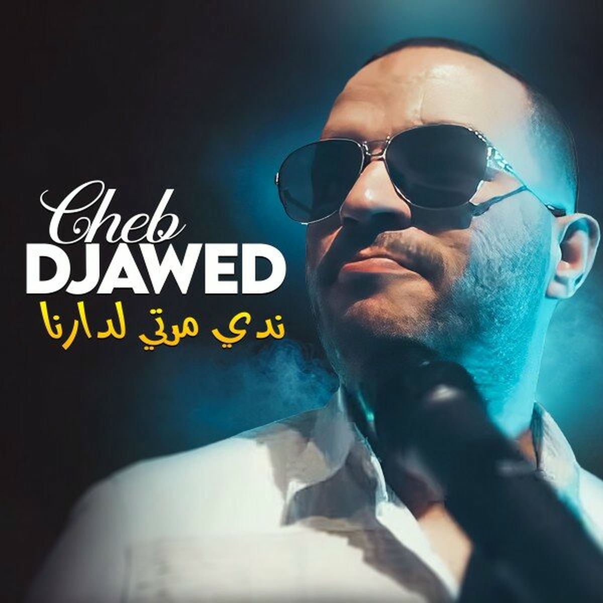 Album cover of ندي مرتي لدارنا