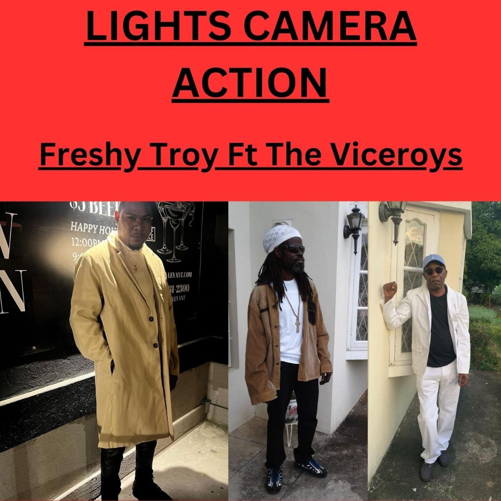 Album cover of Lights Camera Action (feat. The Viceroys)
