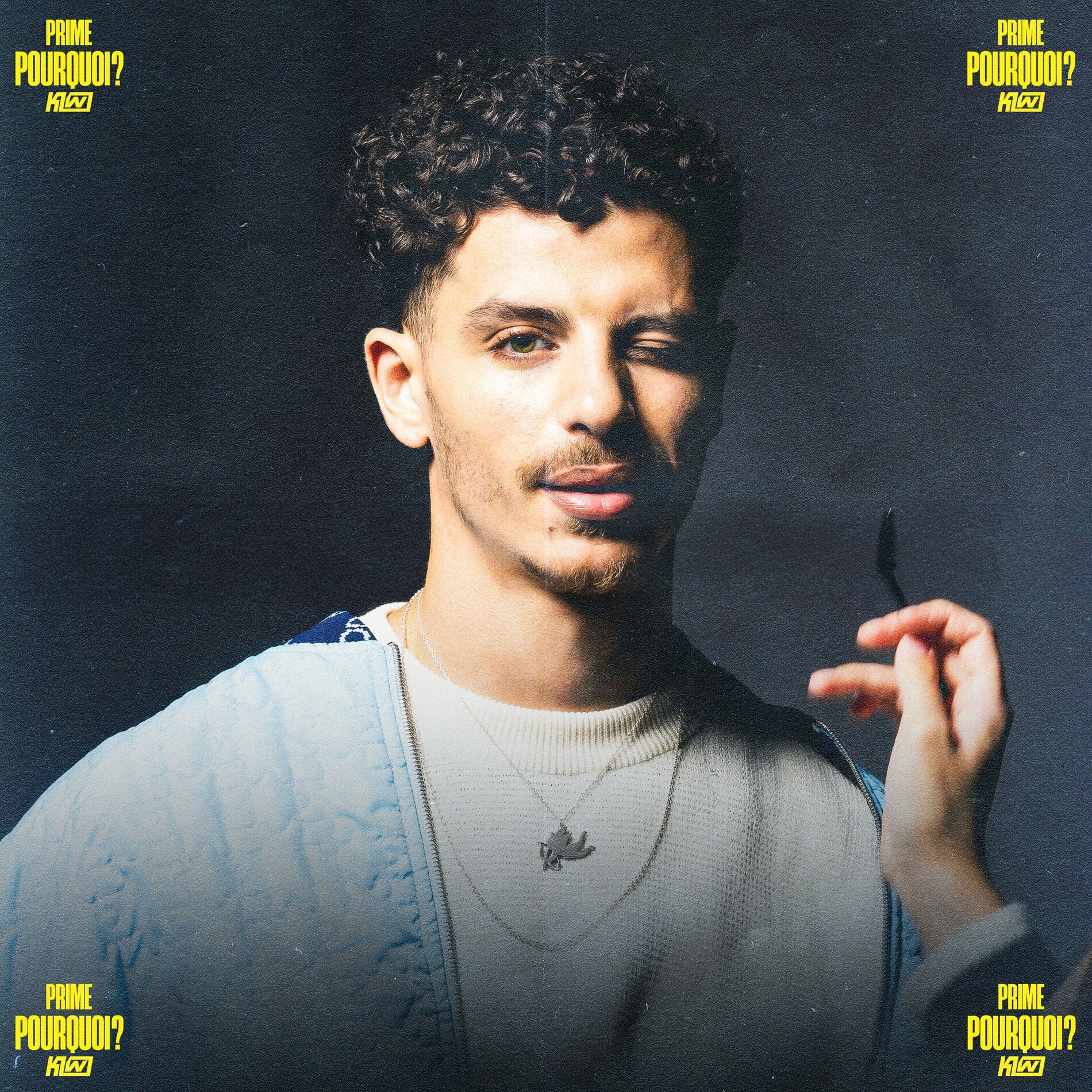 Album cover of POURQUOI