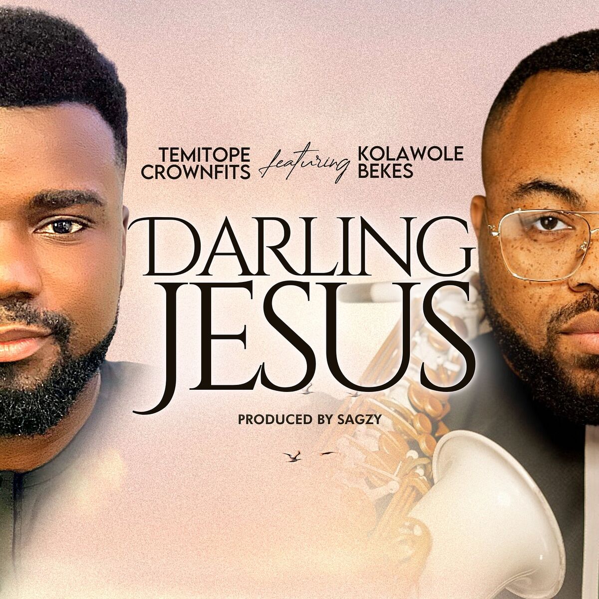 Album cover of Darling Jesus