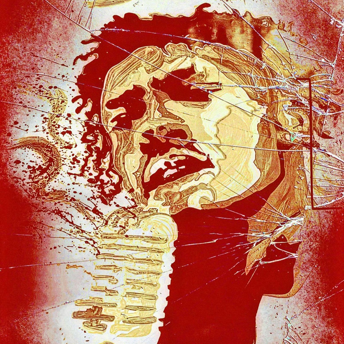 Album cover of The Reintroduction