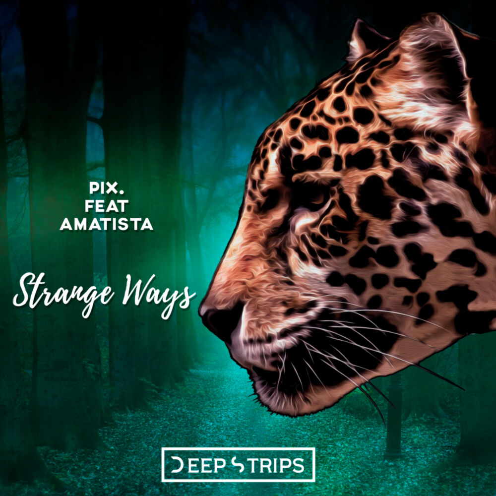 Picture of Strange Ways