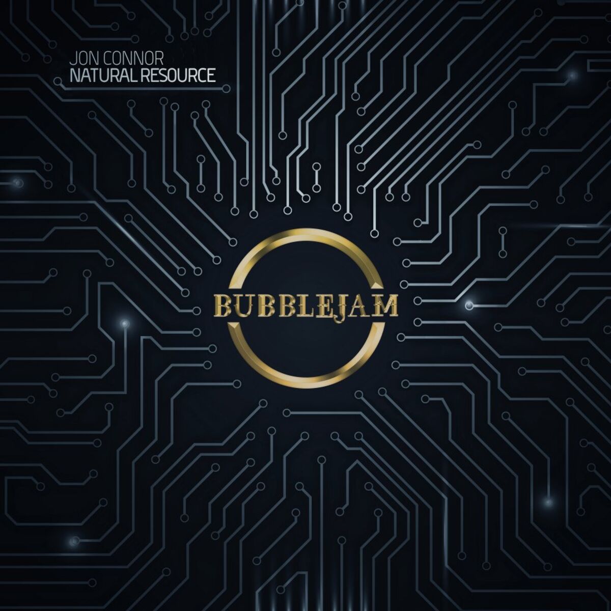Album cover of Natural Resource