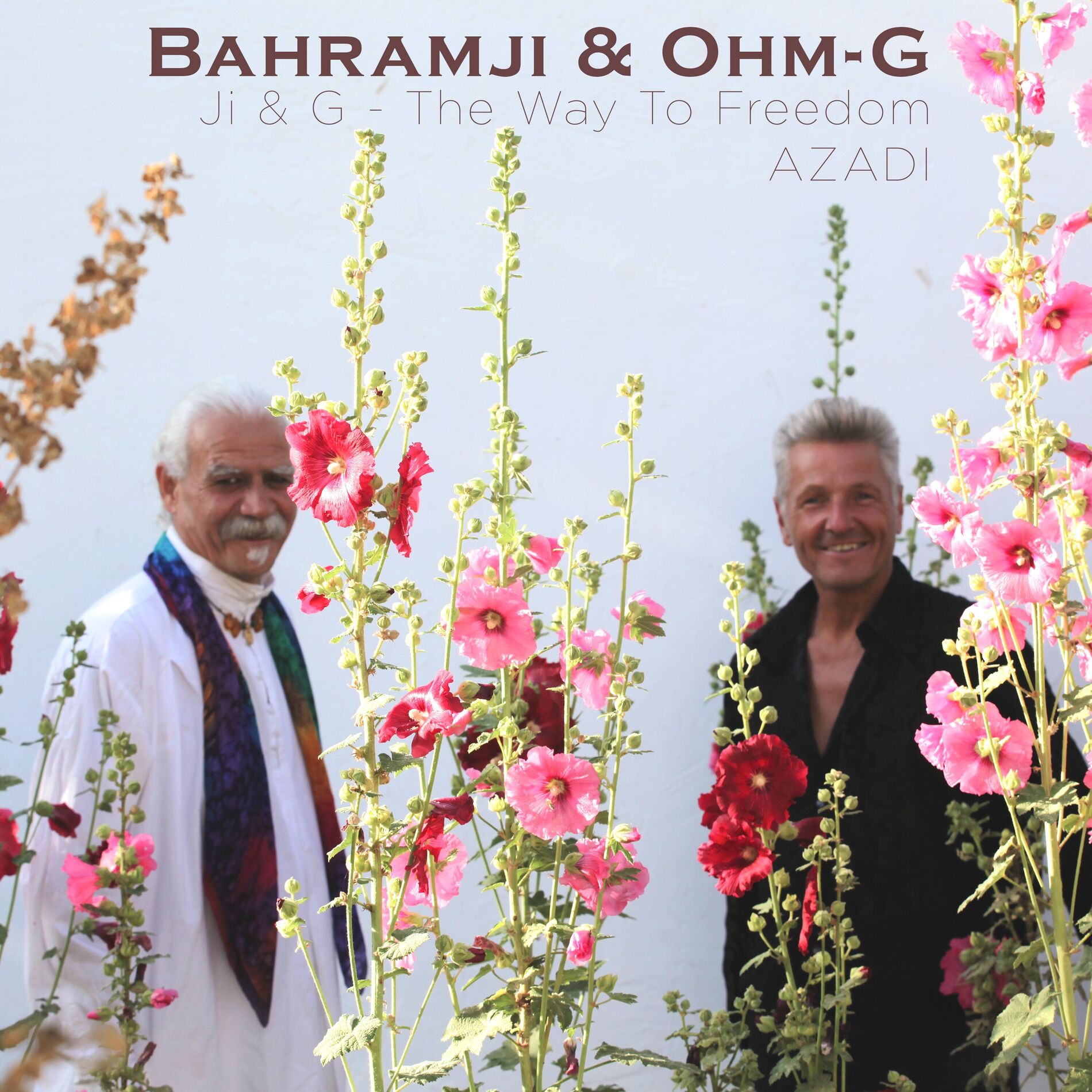Album cover of Ji & G - The Way To Freedom (Azadi)