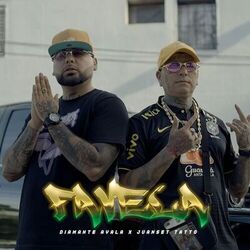 Cover of FAVELA